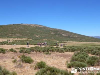 Pinar de Canencia y Mina de Plata del Indiano;jerte cerezos en flor;viajes febrero